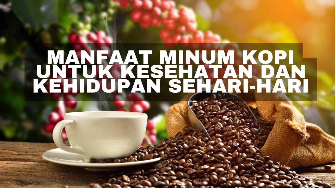 Manfaat Minum Kopi untuk Kesehatan dan Kehidupan Sehari-hari