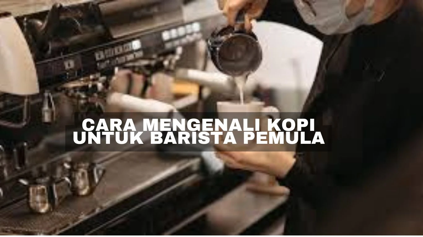 Cara mengenali kopi untuk barista pemula