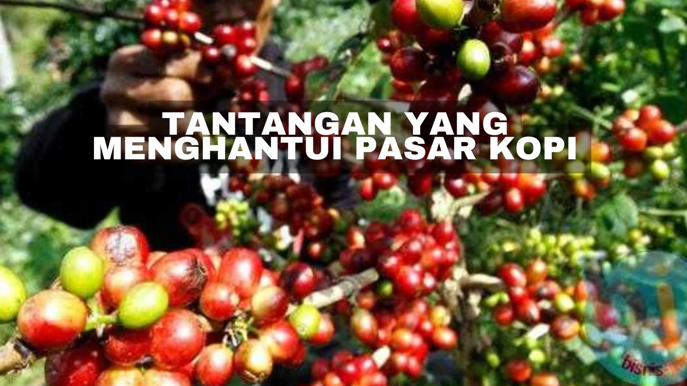 Tantangan yang Menghantui Pasar Kopi