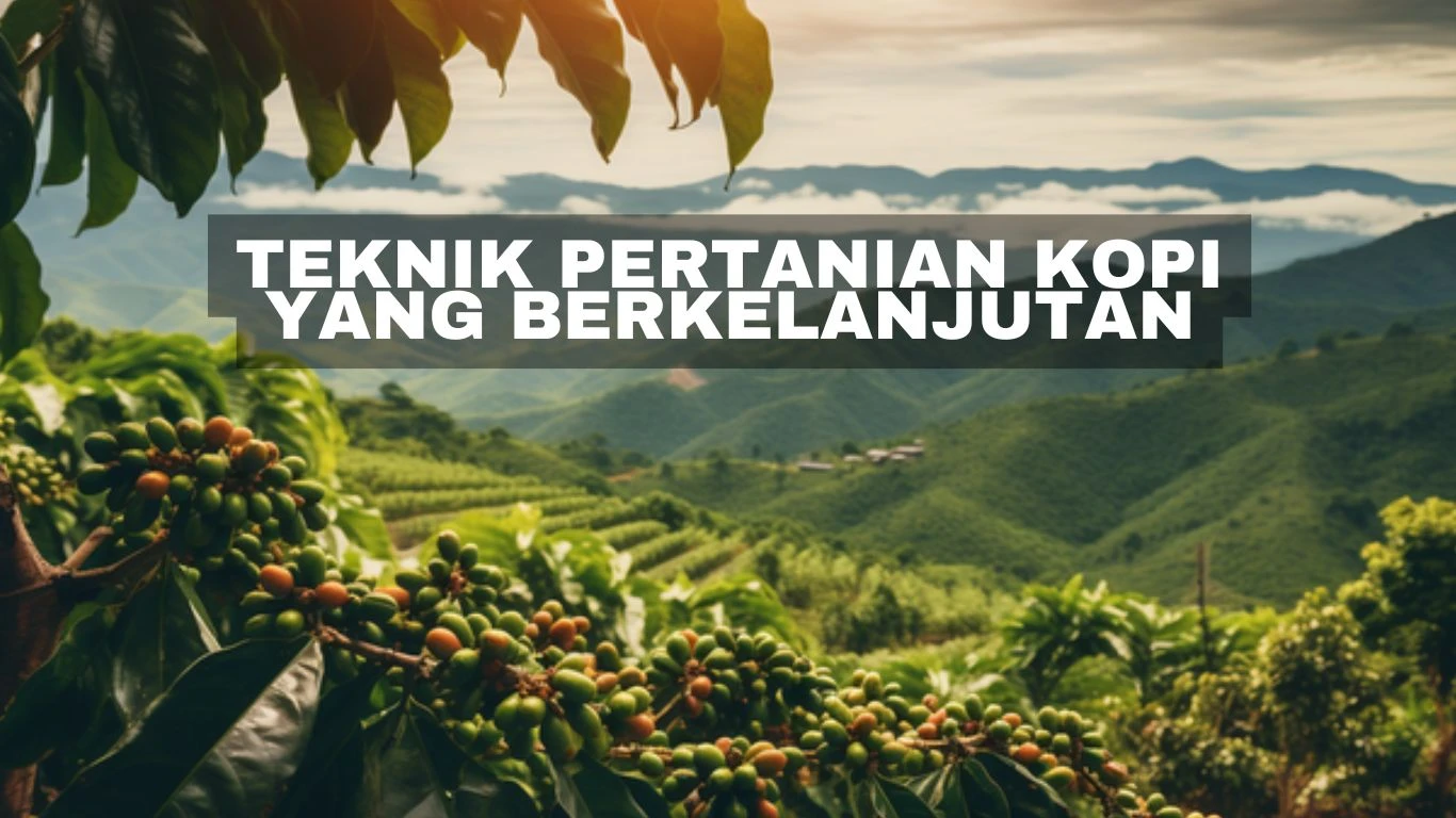 Teknik Pertanian Kopi yang Berkelanjutan