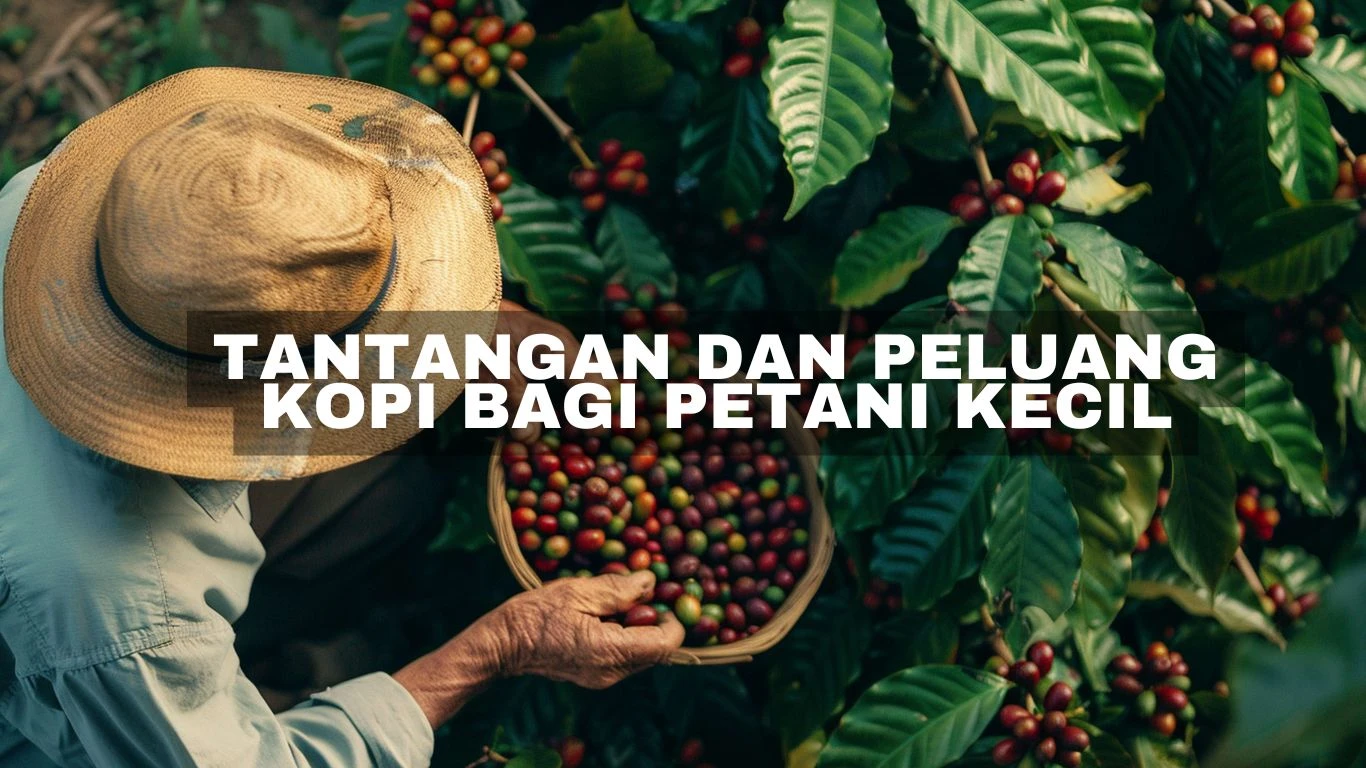 Tantangan dan Peluang Kopi bagi Petani Kecil