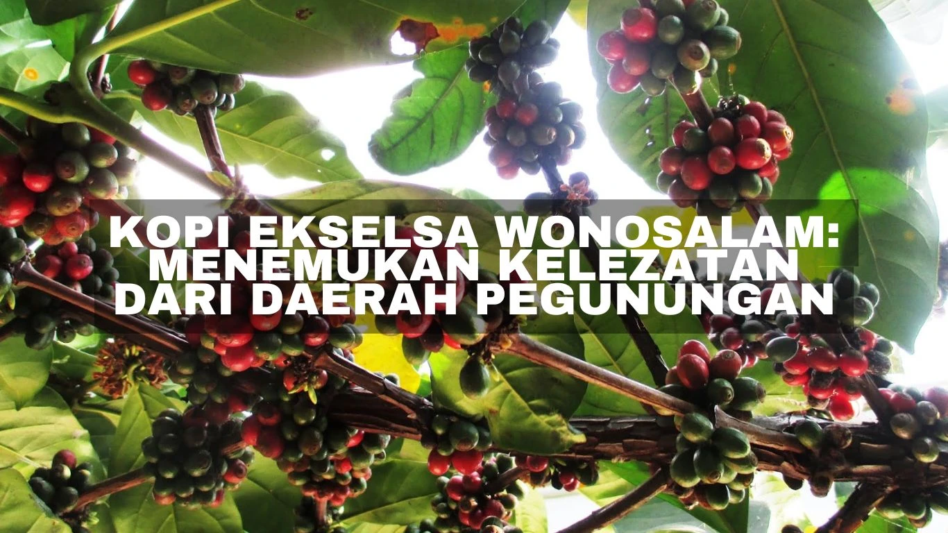 Kopi Ekselsa Wonosalam Hingga Pasar Internasional