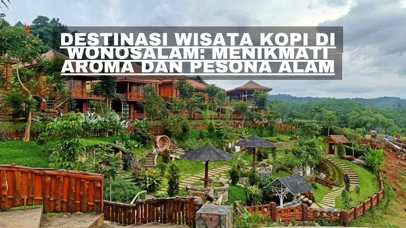 Destinasi Wisata Kopi di Wonosalam: Menikmati Aroma dan Pesona Alam