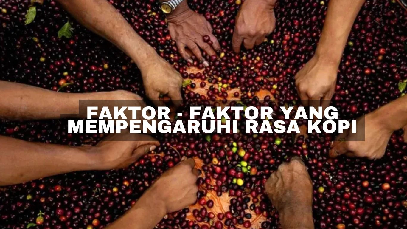 Faktor - Faktor yang Mempengaruhi Rasa Kopi