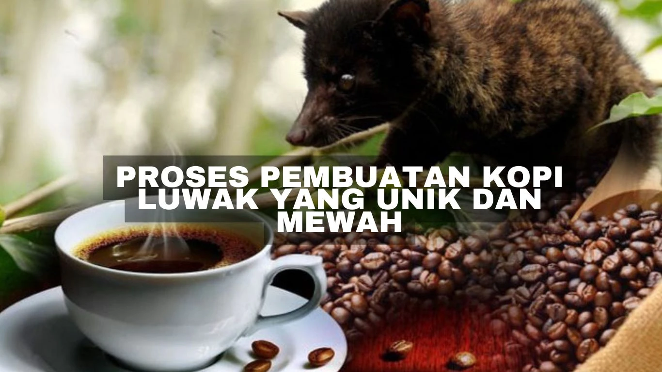 Proses Pembuatan Kopi Luwak yang Unik dan Mewah