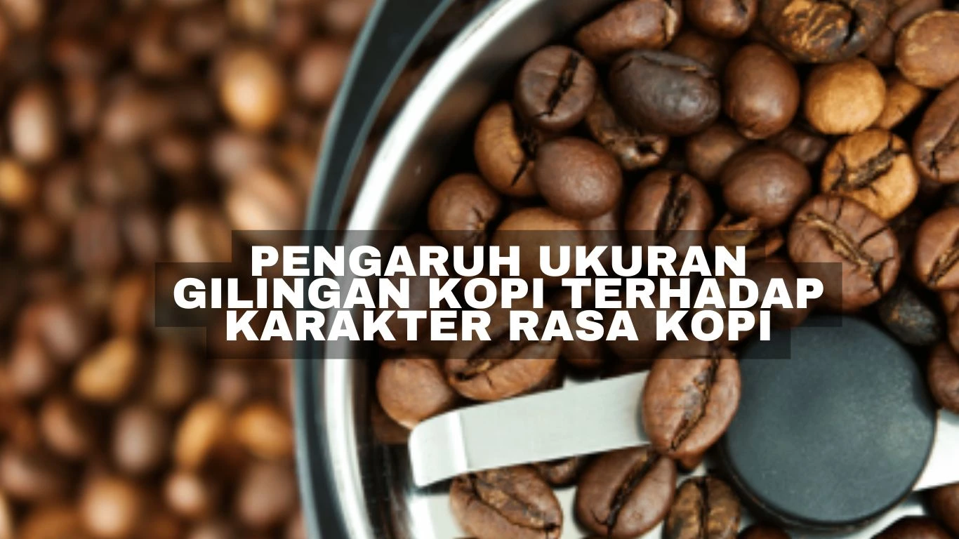 Pengaruh Ukuran Gilingan Kopi Terhadap Karakter Rasa Kopi