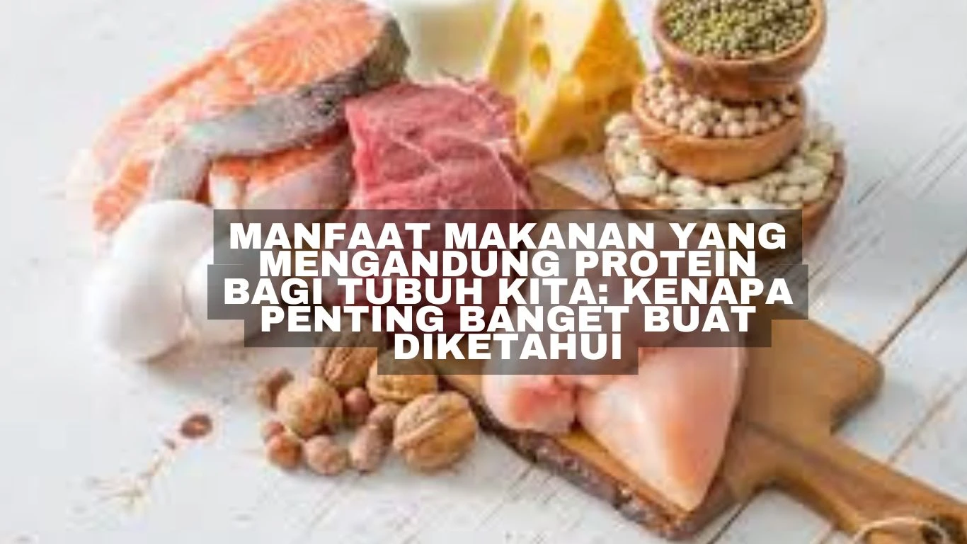 Manfaat Makanan yang Mengandung Protein Bagi Tubuh Kita: Kenapa Penting Banget buat Diketahui